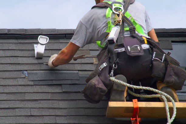 Best Roof Moss and Algae Removal  in Wauseon, OH